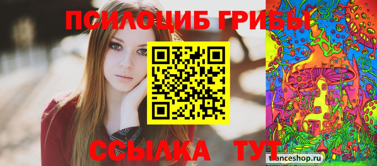 Галлюциногенные грибы GOLDEN TEACHER Калининград