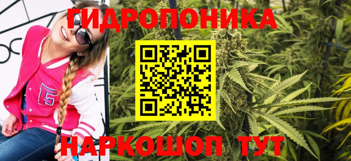 Конопля ГИДРОПОН Калининград